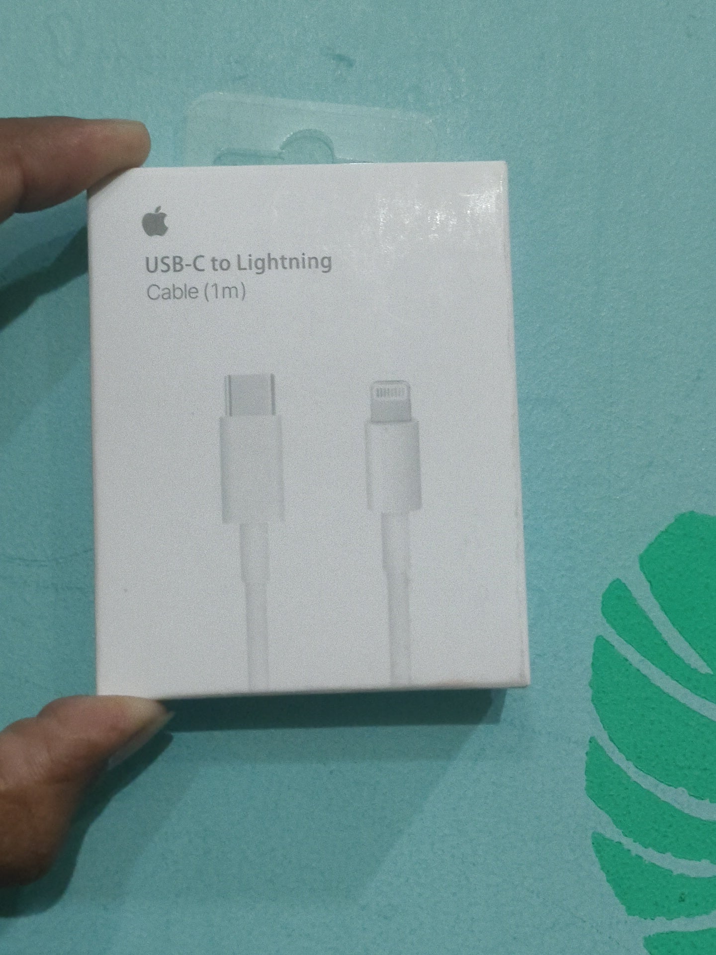 APPLE C TO LIGHTING CABLE