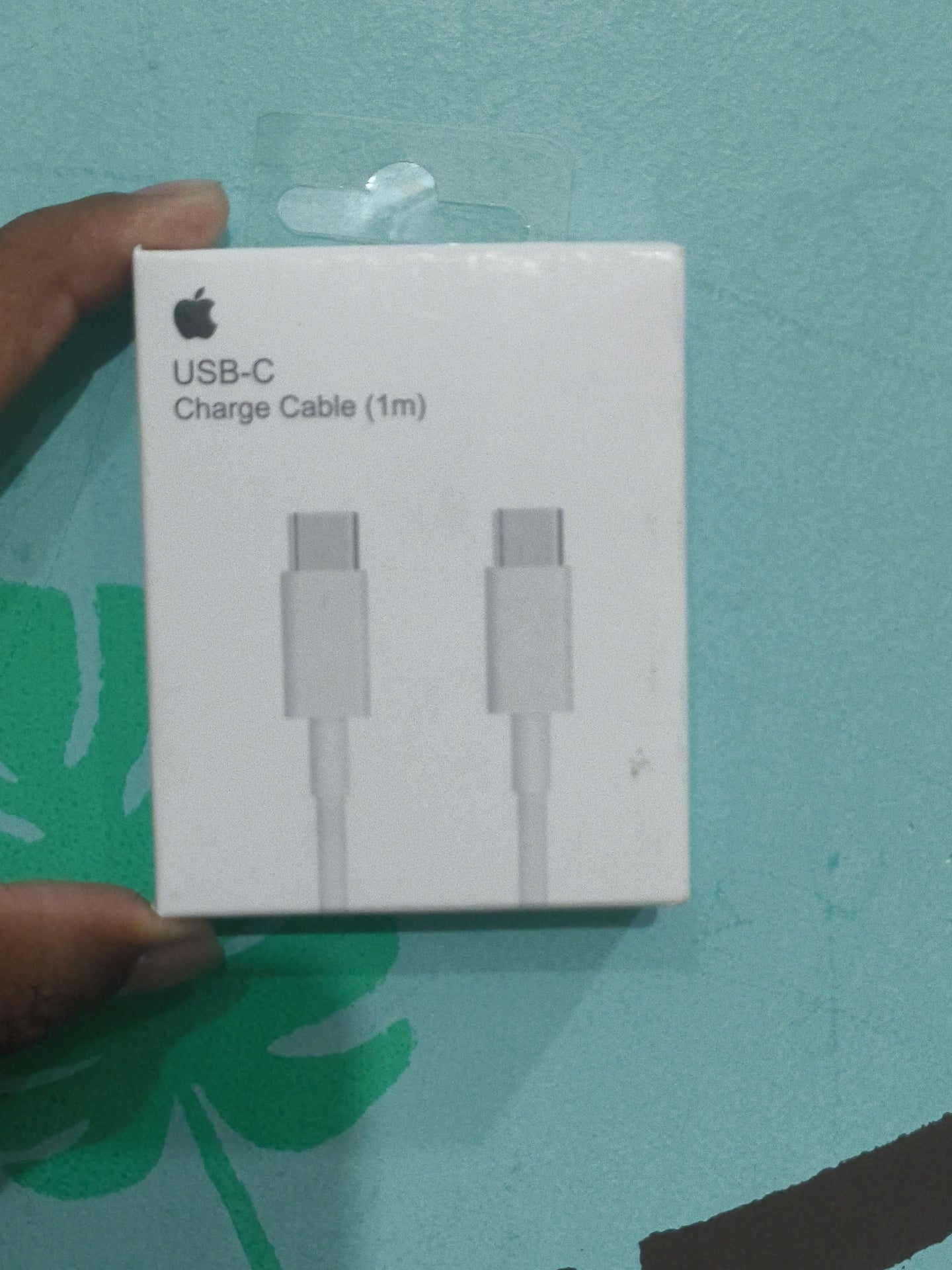 APPLE C TO C DATA CABLE